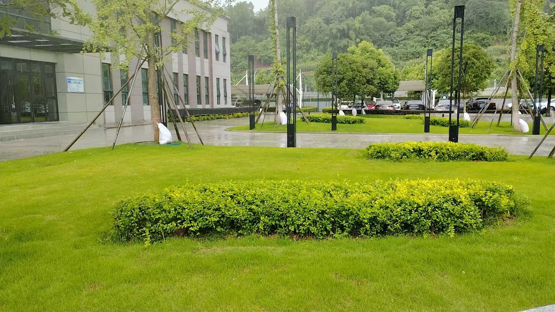 廠區(qū)綠化煥新顏1.jpg