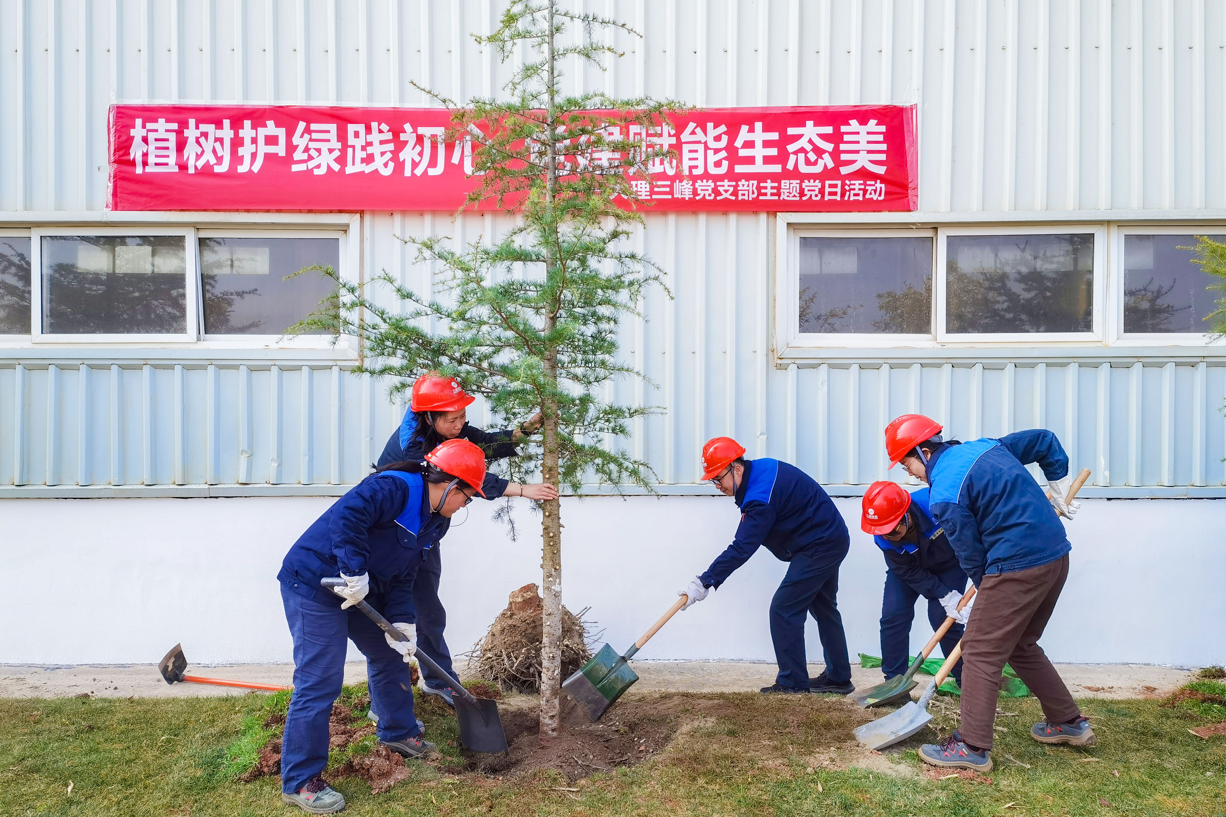 大理三峰植樹節照片2.jpg